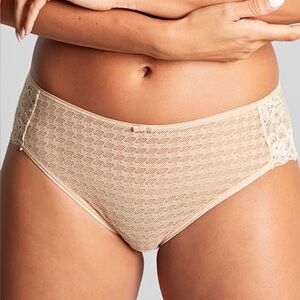 Panache Envy panties size xxl nude color NWT